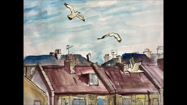 Seagulls