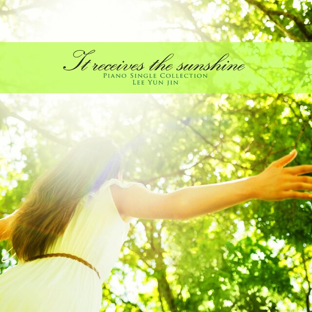 Receive warm sunshine
