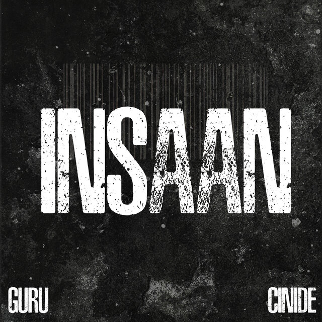 Insaan