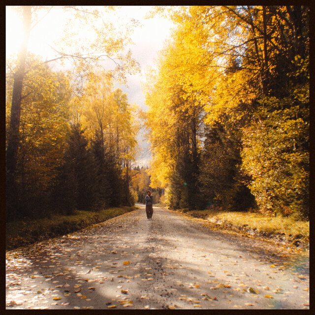 ..but the leaves they are changing