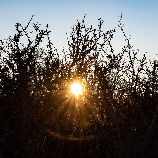 Psalmförslag 1:  Lovsång och tillbedjan
