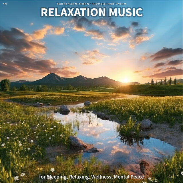 #01 Relaxation Music for Sleeping, Relaxing, Wellness, Mental Peace