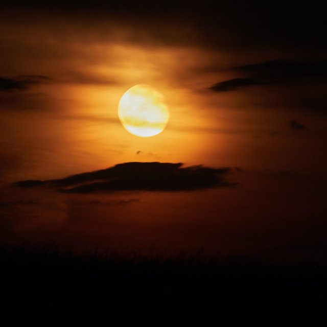 Sunshine