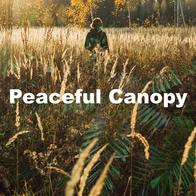 Peaceful Canopy