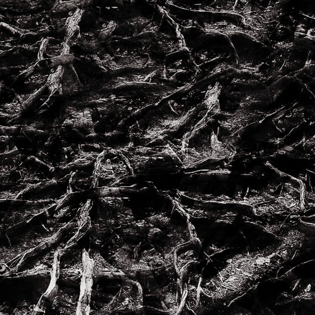 DIRT TAPE V