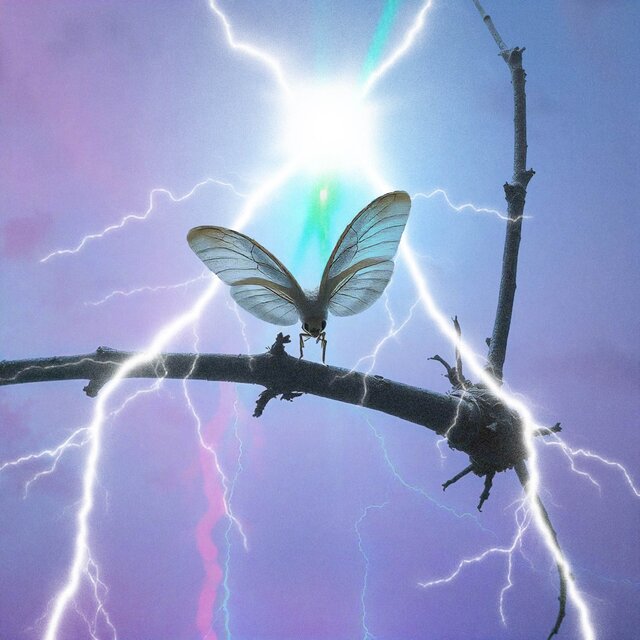 ༺save ya༻ (demo)