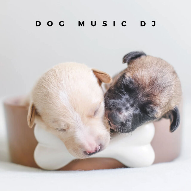 Comfort Music For Puppies