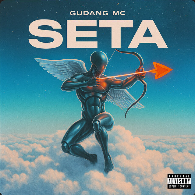 Seta