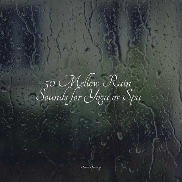 50 Mellow Rain Sounds for Yoga or Spa
