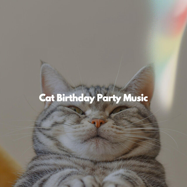 Cat Birthday Party Music