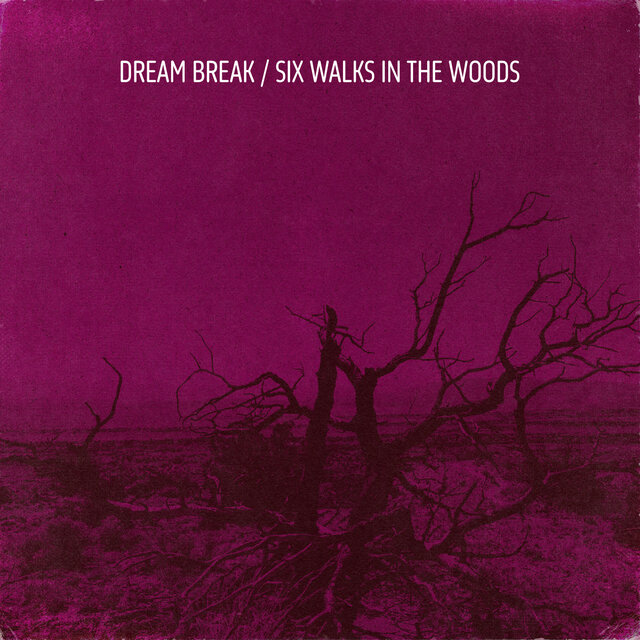 SIX WALKS IN THE WOODS
