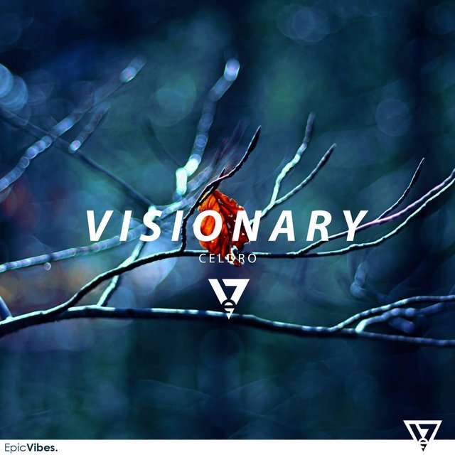 Visionary