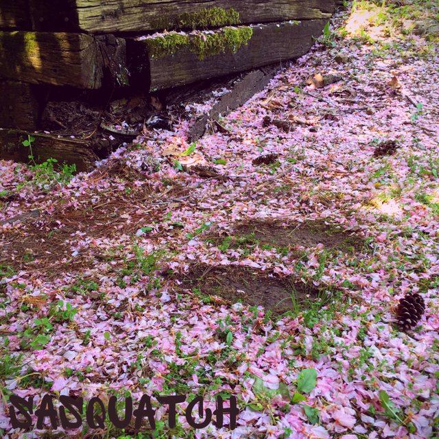 My First Shitty Mixtape