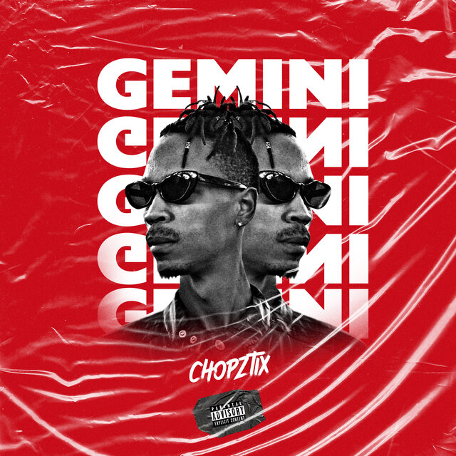 GEMINI