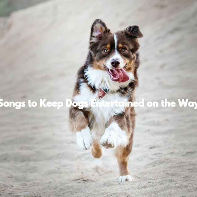 Songs to Keep Dogs Entertained on the Way