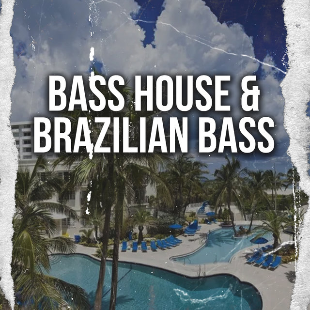 Bass House & Brazilian Bass