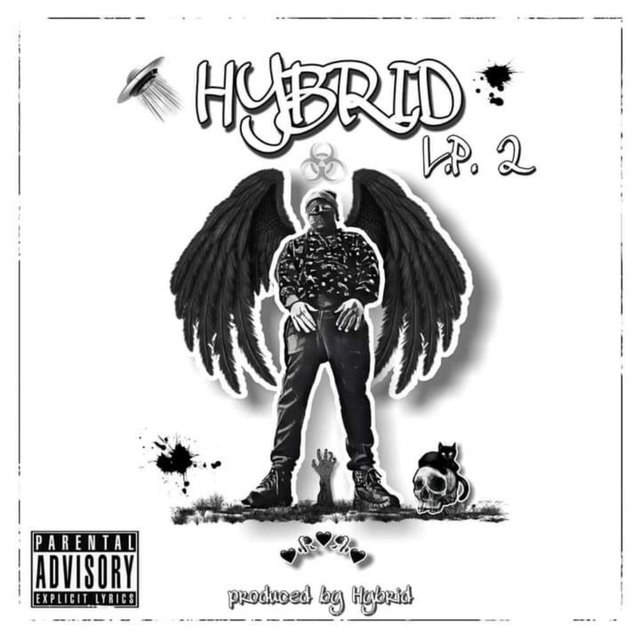 Hybrid Lp 2