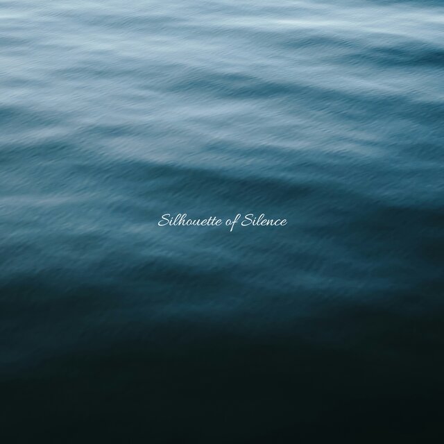 Silhouette of Silence