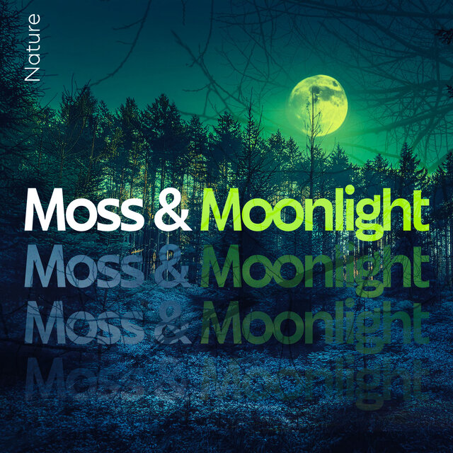 Moss & Moonlight