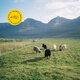Cover art for album Den siste kvegdriver by Himmelskip