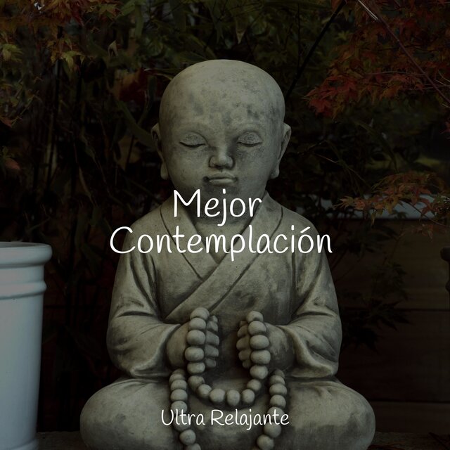 Mejor Contemplación
