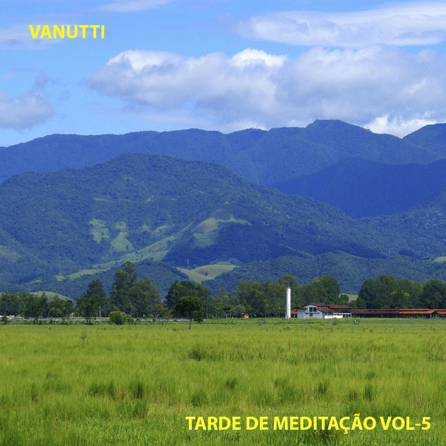 Tarde de Meditação, Vol. 5