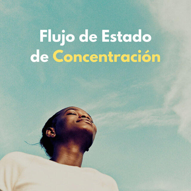 Flujo De Estado De Concentración