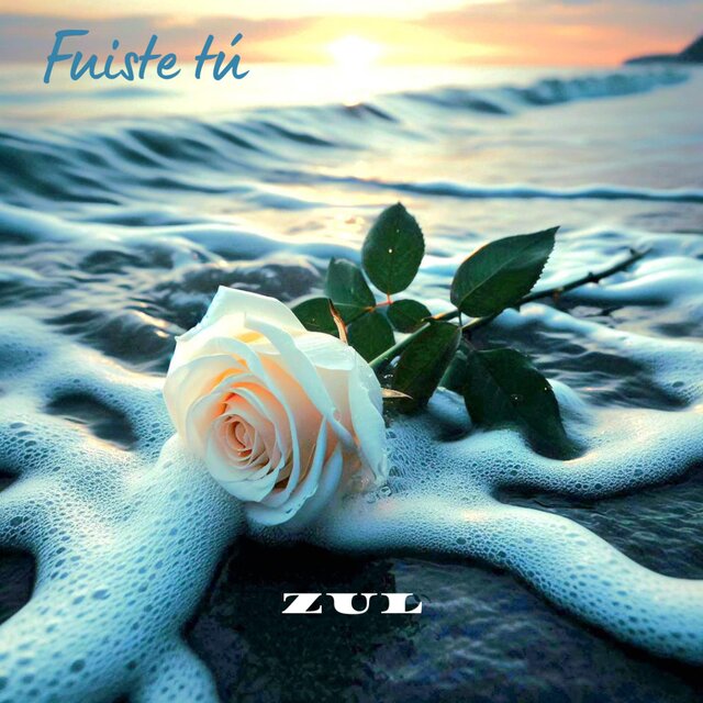 Fuiste tú