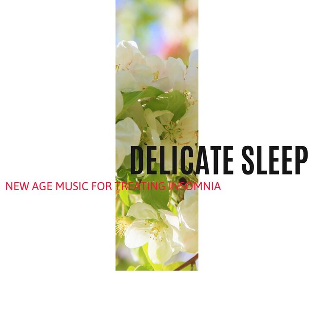 Delicate Sleep - New Age Music for Treating Insomnia