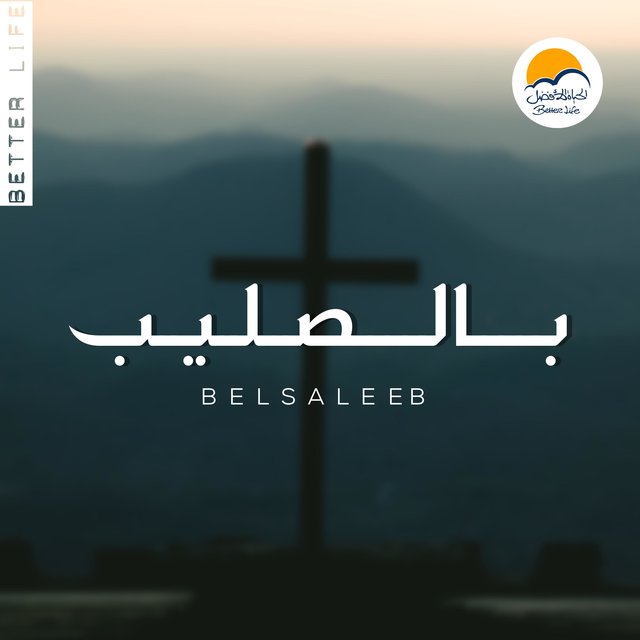 Bel Saleeb