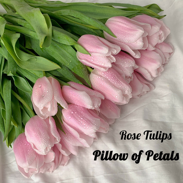 Pillow of Petals