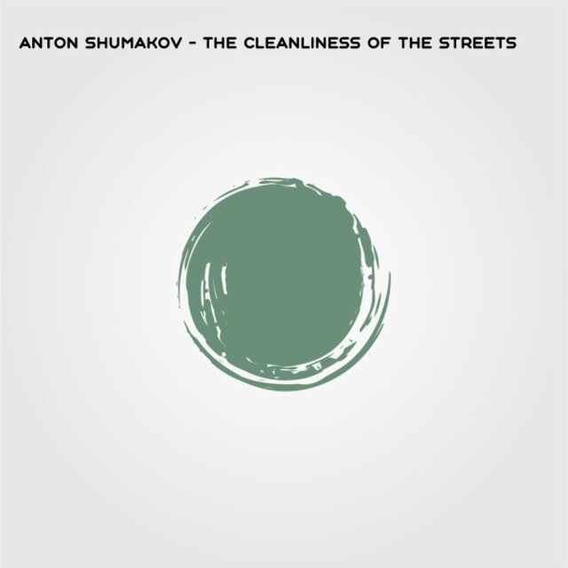 The Cleanliness of the Streets