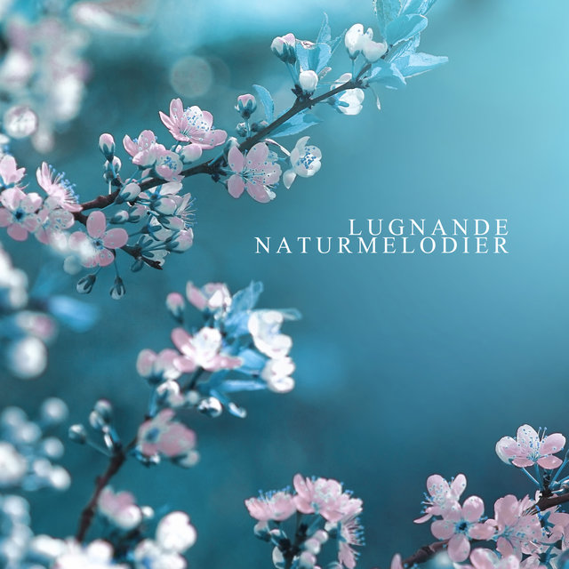 Lugnande naturmelodier: Sömn och mindfulness