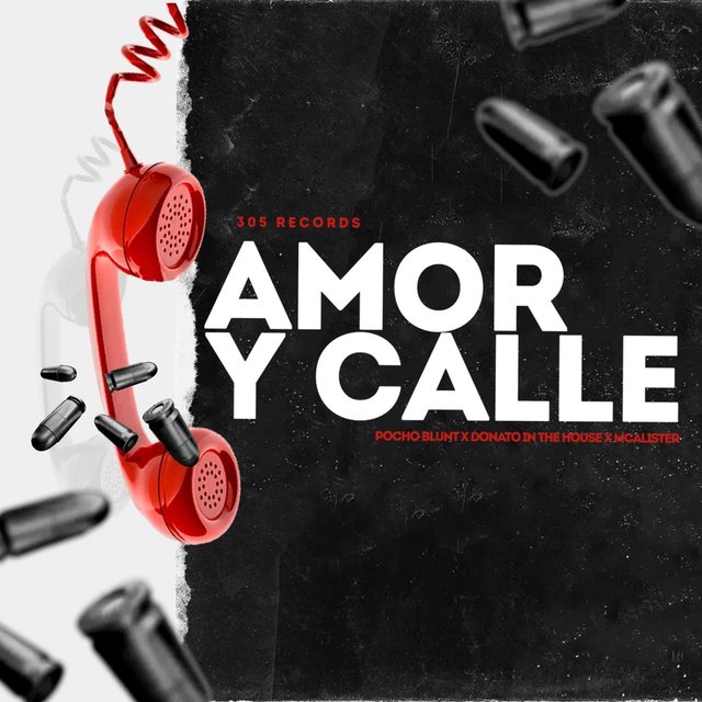 Amor y Calle (feat. Donato In The House & Mcallister)