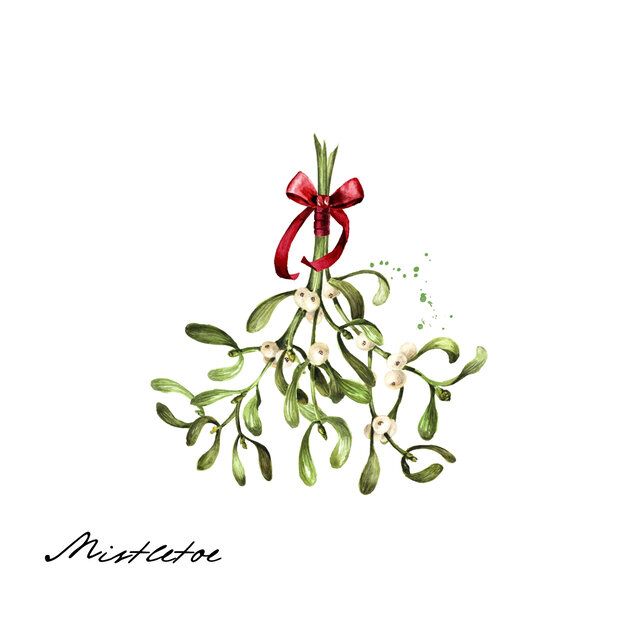 Mistletoe