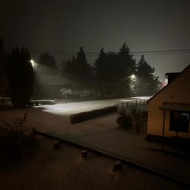 winter