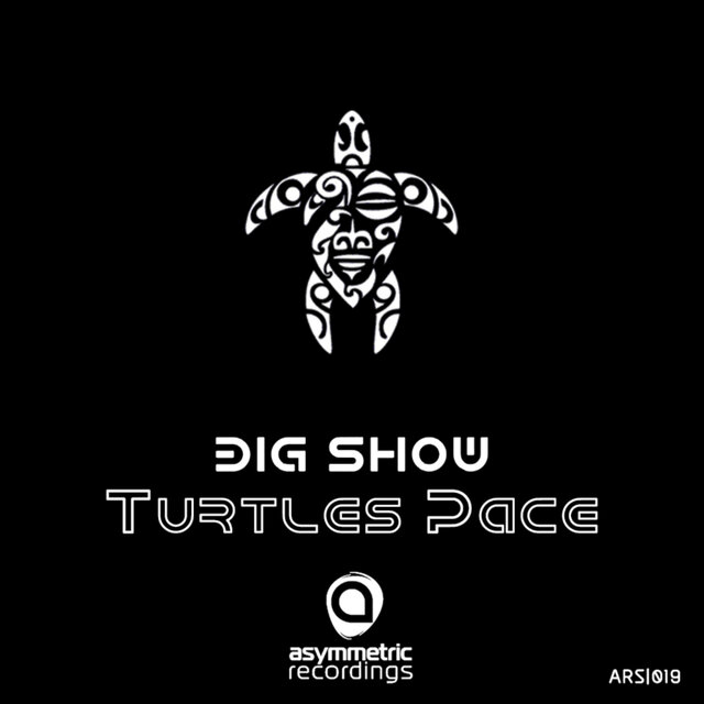 Turtle's Pace