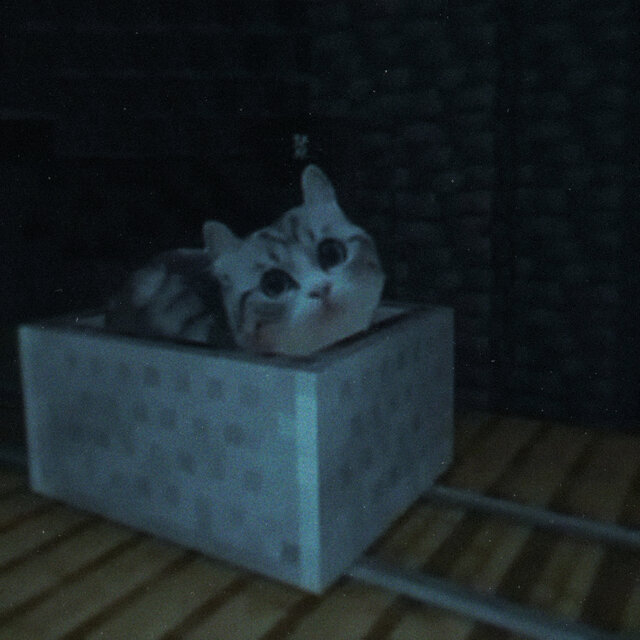 kitten in a minecart