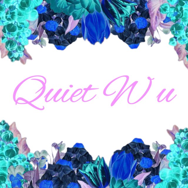 Quiet W U
