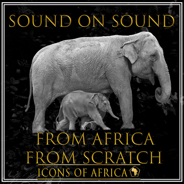 From Africa from Scratch