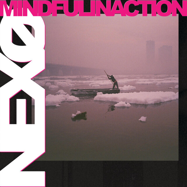 Mindful Inaction