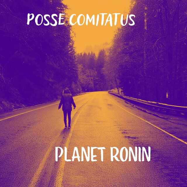 Posse Comitatus