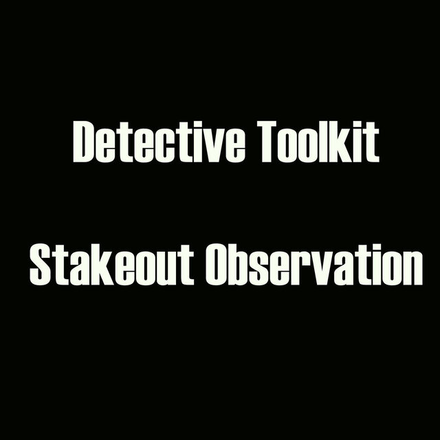 Detective Toolkit - Stakeout Observation