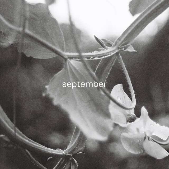 September