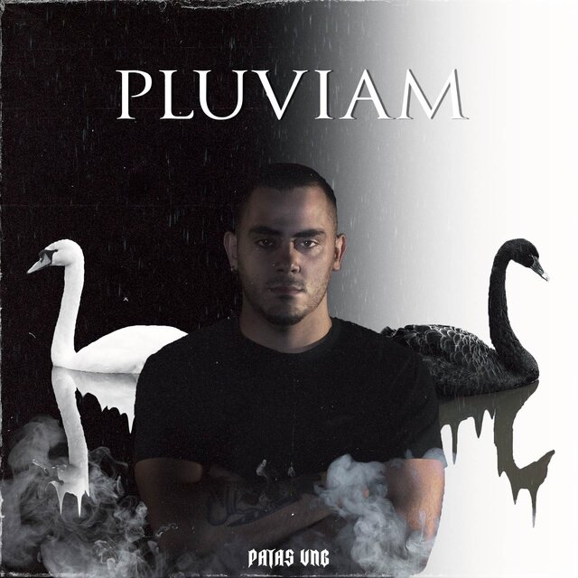 Pluviam