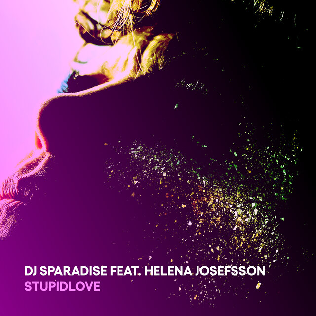 Stupid Love