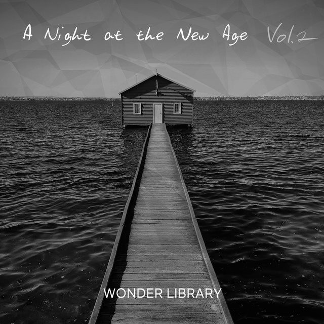 A Night at the New Age Vol. 2