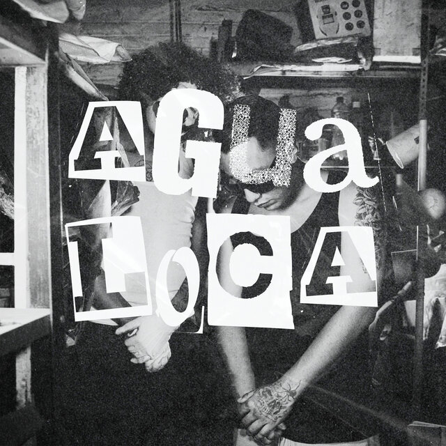 Agualoca