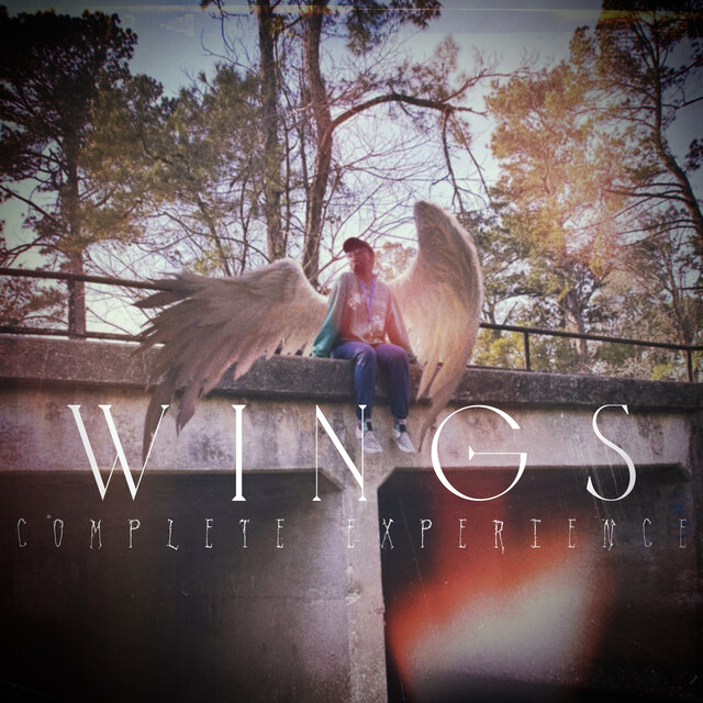 WINGS: Complete Experience