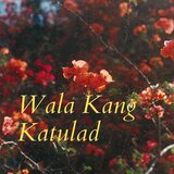 Wala Kang Katulad